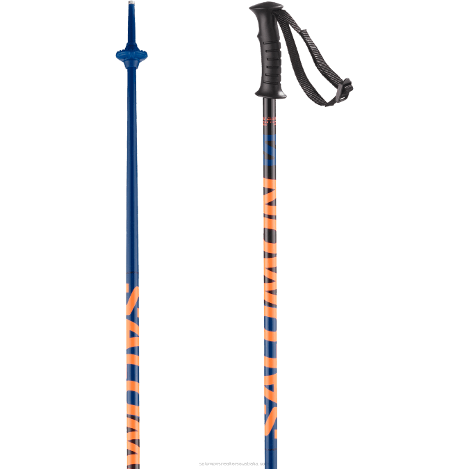 Junior - Kids' Alpine Poles - Kaloo Junior V42L1386 Salomon Blue - Salomon shoes
