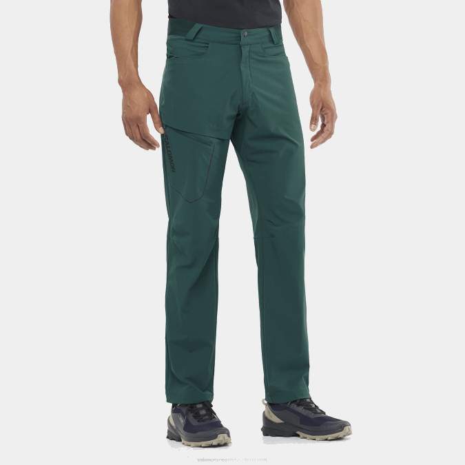 Men's Pants - Wayfarer V42L1202 Salomon Ponderosa Pine - Salomon shoes