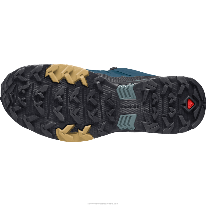 Men\'s Hiking Shoes - X Ultra 4 Gore-Tex V42L17 Salomon Legion Blue/Black/Fall Leaf - Salomon Australia