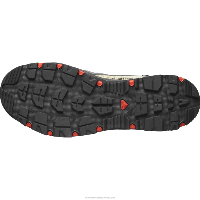 Men\'s Water Shoes - Techamphibian 5 V42L3 Salomon Pewter/Moth/Fiery Red - Salomon sneakers Australia