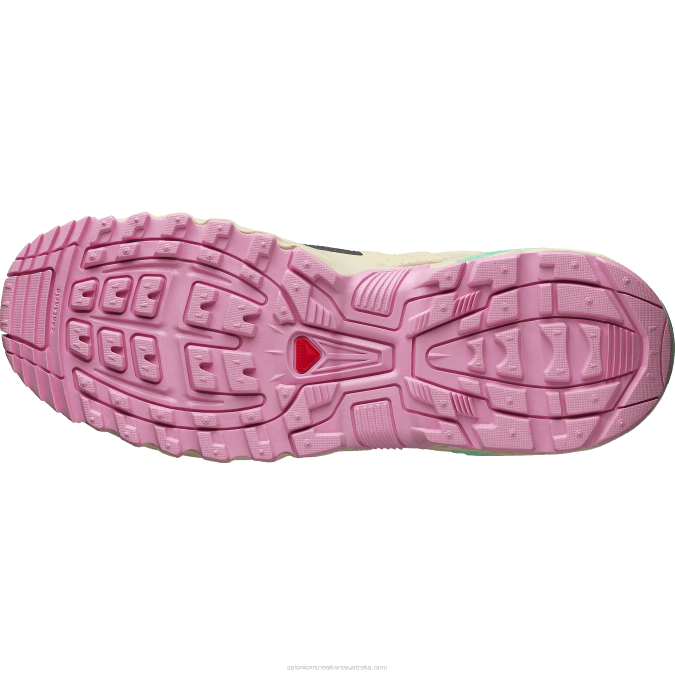 Men\'s Sportstyle Shoes - Acs + V42L144 Salomon Ebony/Moss/Biscay Green - Salomon shoes