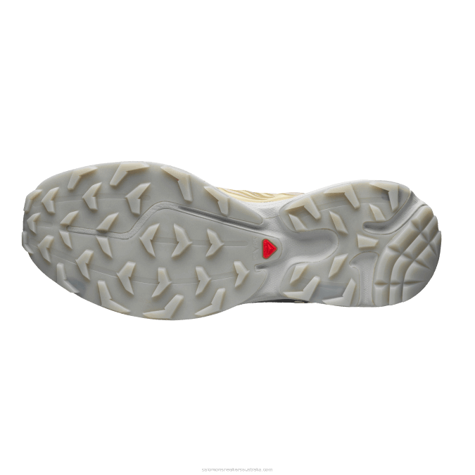 Men\'s Sportstyle Shoes - Xt-6 Clear V42L121 Salomon Safari/Magnet/Vanilla Ice - Salomon shoes