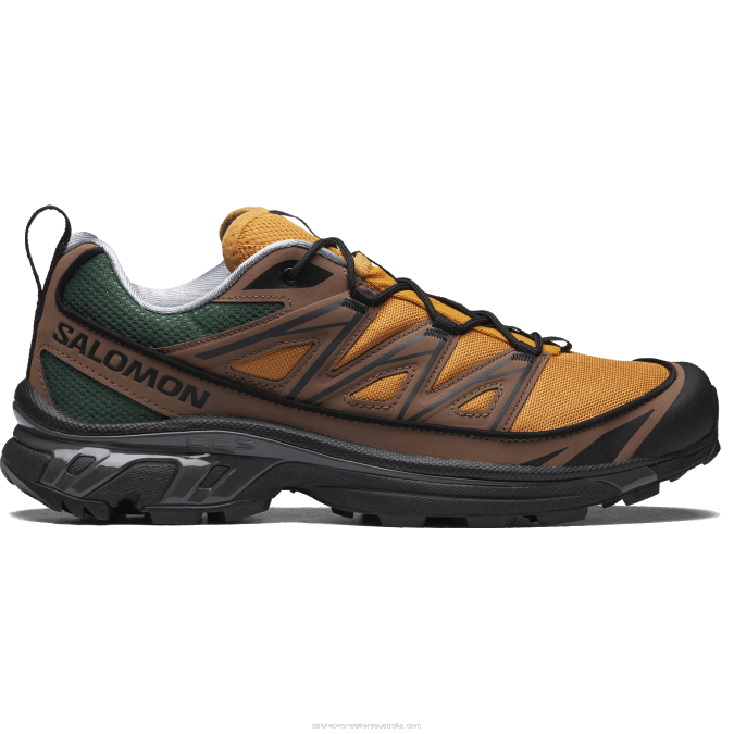 Men's Sportstyle Shoes - Xt-6 Expanse 75Th V42L225 Salomon Golden Oak/Acorn/Black - Salomon Australia