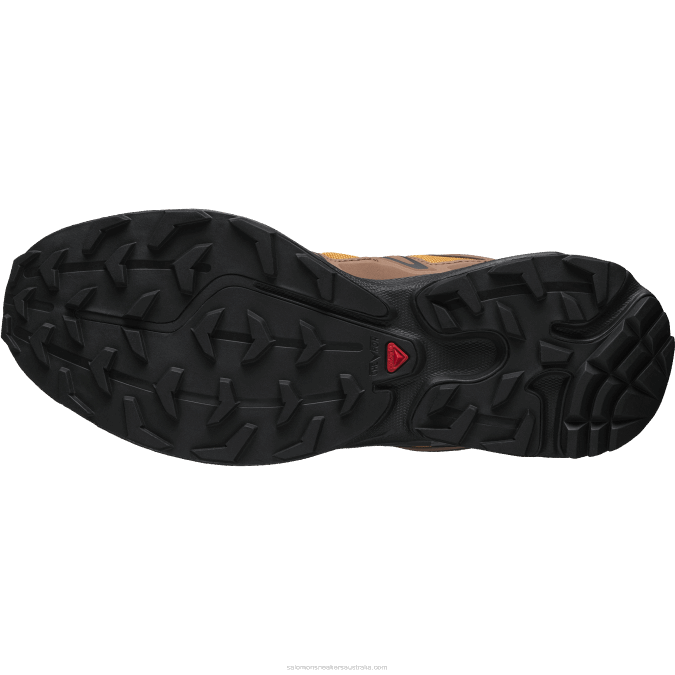 Men\'s Sportstyle Shoes - Xt-6 Expanse 75Th V42L225 Salomon Golden Oak/Acorn/Black - Salomon Australia