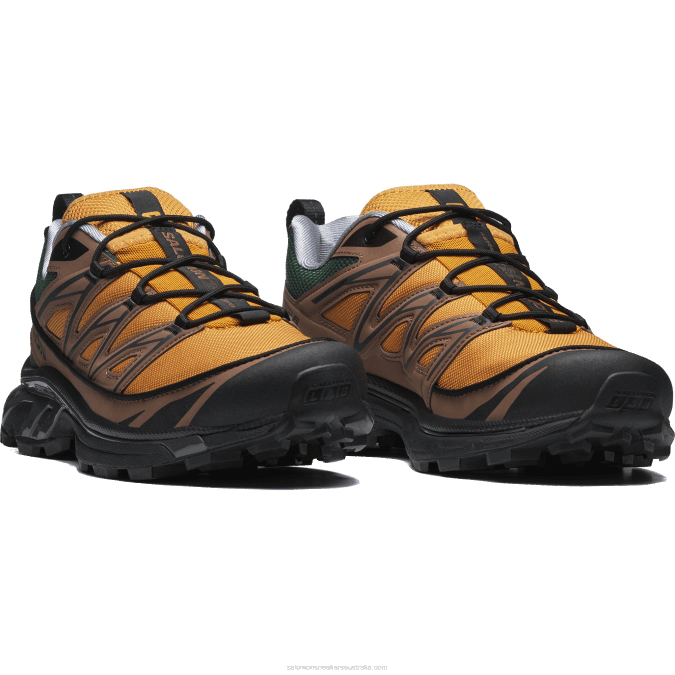 Men\'s Sportstyle Shoes - Xt-6 Expanse 75Th V42L225 Salomon Golden Oak/Acorn/Black - Salomon Australia