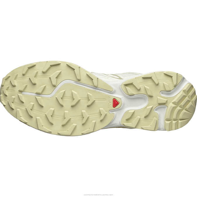 Men\'s Sportstyle Shoes - Xt-6 Expanse Cottage Core V42L142 Salomon Vanilla Ice/Desert Sage/Taffy - Salomon Australia