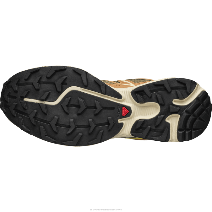 Men\'s Sportstyle Shoes - Xt-6 Expanse V42L100 Salomon Cathay Spice/Lizard/Buttercup - Salomon Australia