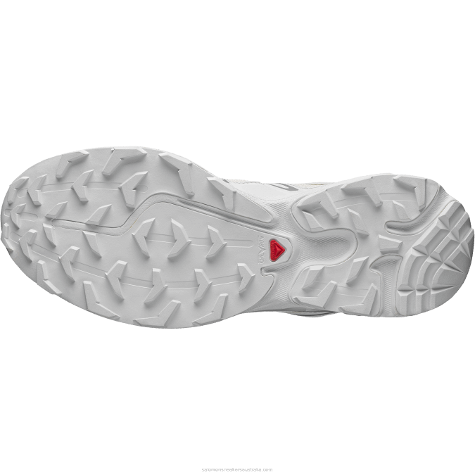 Men\'s Sportstyle Shoes - Xt-6 Expanse V42L102 Salomon Vanilla Ice/White/Alloy - Salomon shoes