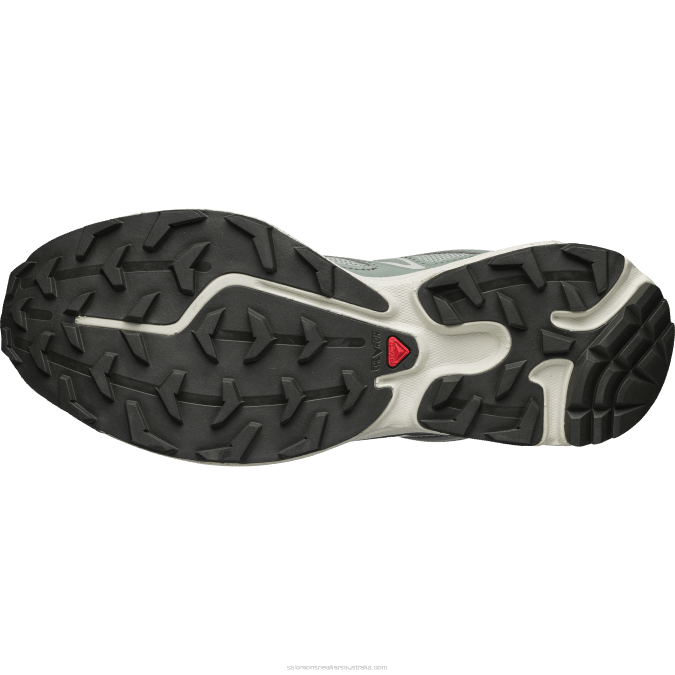Men\'s Sportstyle Shoes - Xt-6 Expanse V42L103 Salomon Lily Pad/Laurel Wreath/Pewter - Salomon Australia