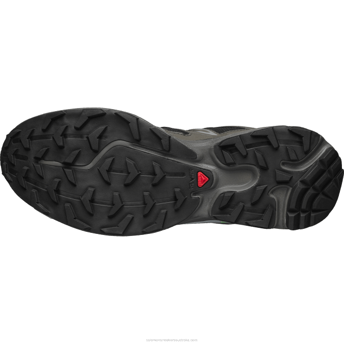 Men\'s Sportstyle Shoes - Xt-6 Expanse V42L98 Salomon Beluga/Peat/Summer Green - Salomon sneakers Australia