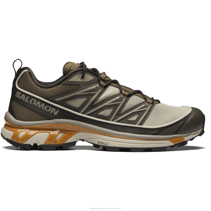 Men's Sportstyle Shoes - Xt-6 Expanse V42L99 Salomon Feather Gray/Delicioso/Golden Oak - Salomon shoes