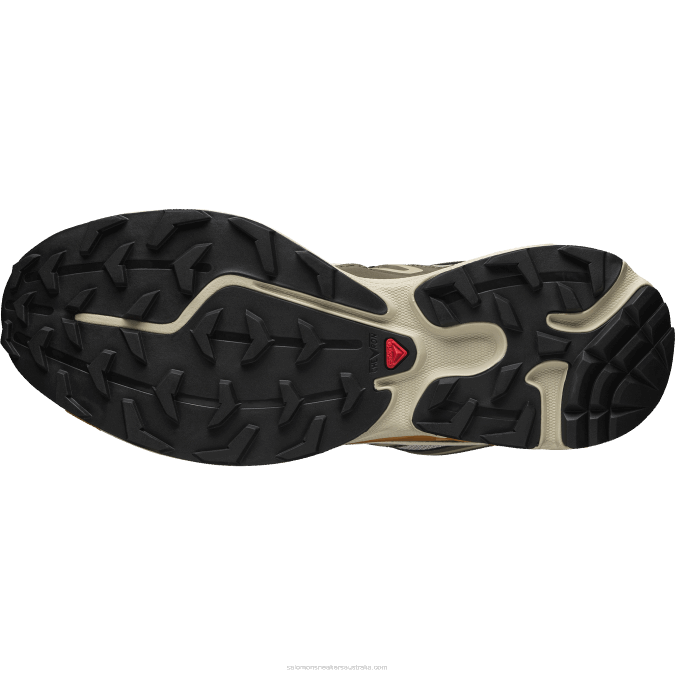 Men\'s Sportstyle Shoes - Xt-6 Expanse V42L99 Salomon Feather Gray/Delicioso/Golden Oak - Salomon shoes