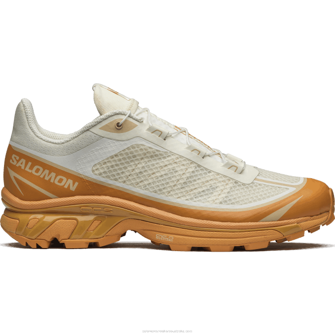 Men's Sportstyle Shoes - Xt-6 Ft V42L91 Salomon Vanilla Ice/Buckskin/Hazelnut - Salomon sneakers Australia