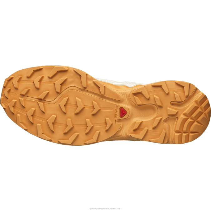 Men\'s Sportstyle Shoes - Xt-6 Ft V42L91 Salomon Vanilla Ice/Buckskin/Hazelnut - Salomon sneakers Australia