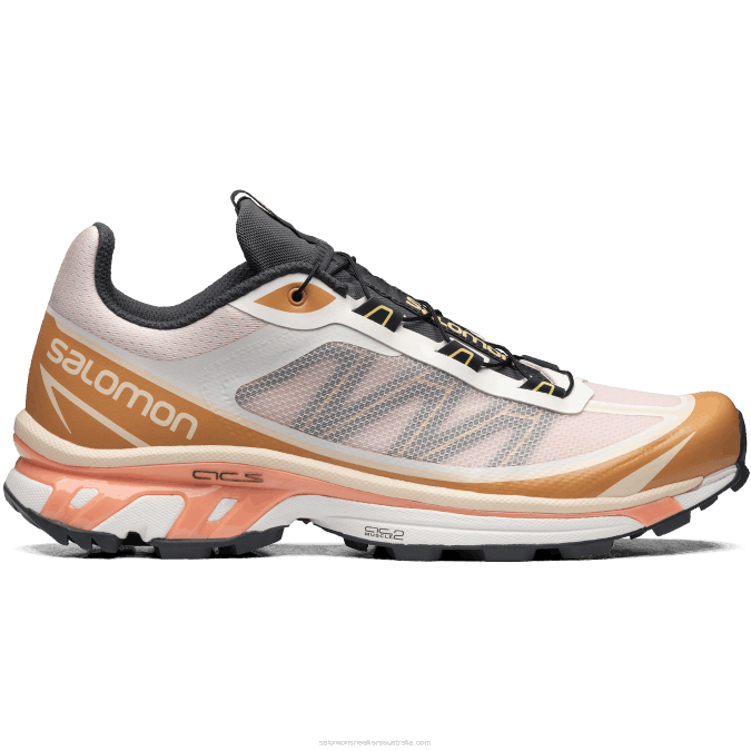 Men's Sportstyle Shoes - Xt-6 Ft V42L94 Salomon Morganite/Fenugreek/Black - Salomon Australia