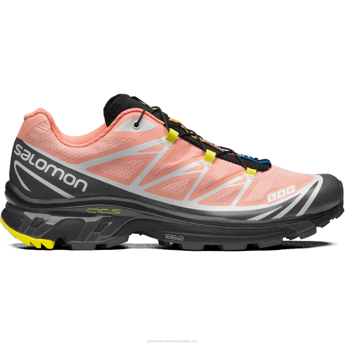 Men's Sportstyle Shoes - Xt-6 V42L72 Salomon Blooming Dahlia/Monument/Black - Salomon Australia
