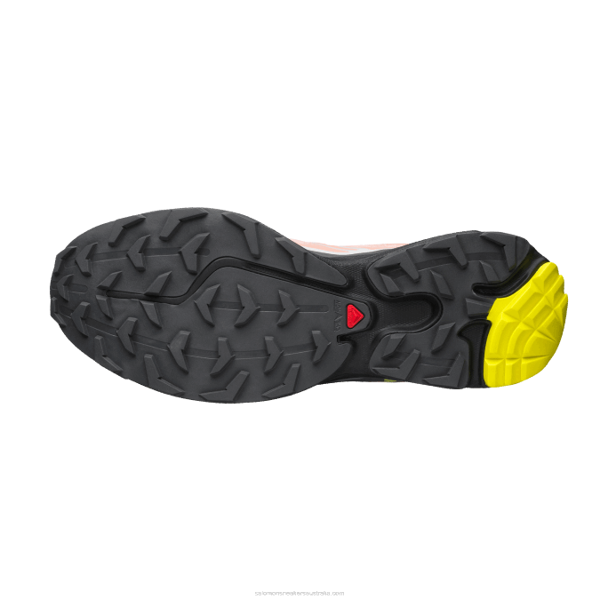 Men\'s Sportstyle Shoes - Xt-6 V42L72 Salomon Blooming Dahlia/Monument/Black - Salomon Australia