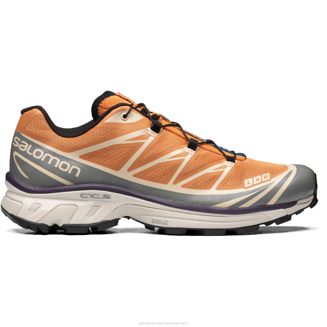 Men's Sportstyle Shoes - Xt-6 V42L73 Salomon Apricot Buff/Frost Gray/Velvet Morning - Salomon sneakers Australia