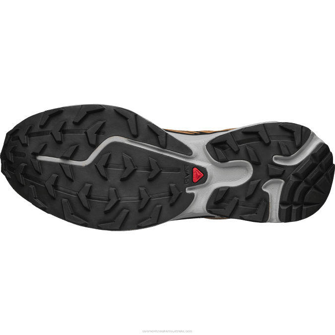 Men\'s Sportstyle Shoes - Xt-6 V42L74 Salomon Cathay Spice/Quarry/Rose Cloud - Salomon shoes