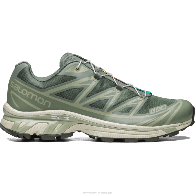 Men's Sportstyle Shoes - Xt-6 V42L77 Salomon Laurel Wreath/Lily Pad/Desert Sage - Salomon shoes