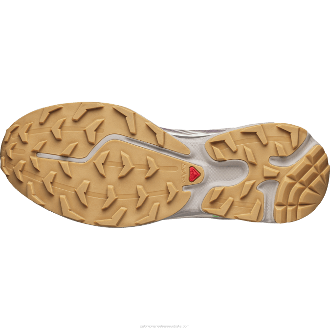 Men\'s Sportstyle Shoes - Xt-6 V42L80 Salomon Quail/Plum Kitten/Vanilla Ice - Salomon shoes