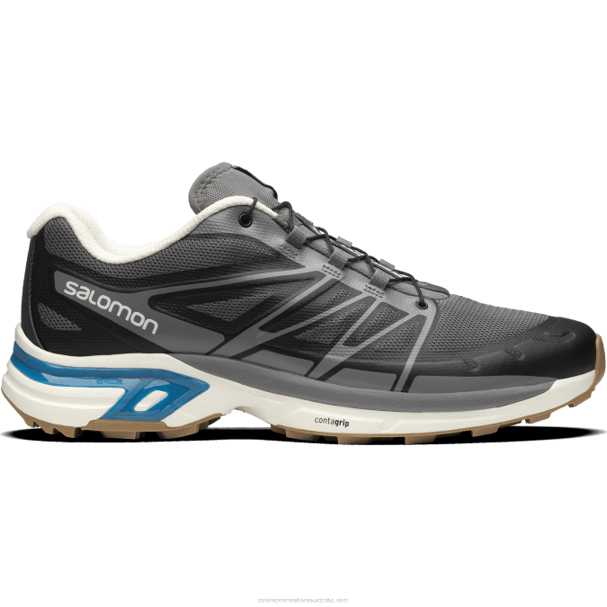 Quiet Shade/Vanilla Ice/Blue Aster