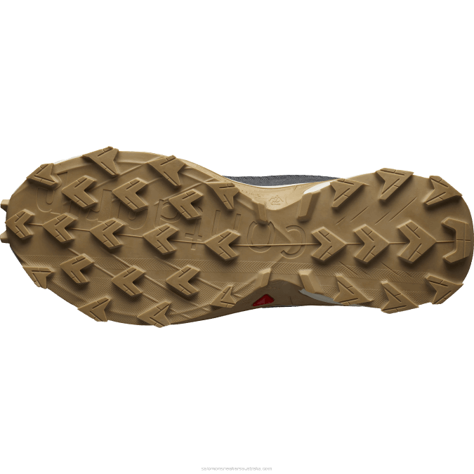 Men\'s Trail Running Shoes - Alphacross 4 V42L1483 Salomon Ebony/Rainy Day/Phantom - Salomon shoes