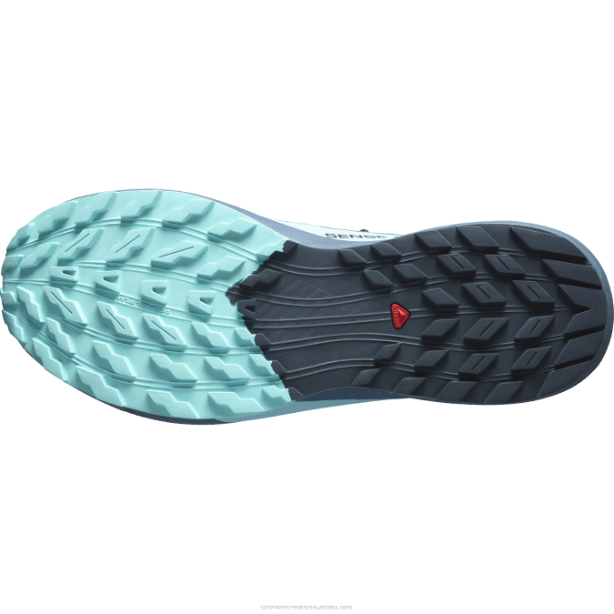 Men\'s Trail Running Shoes - Sense Ride 5 Gore-Tex V42L1445 Salomon Carbon/Blue Radiance/China Blue - Salomon sneakers Australia