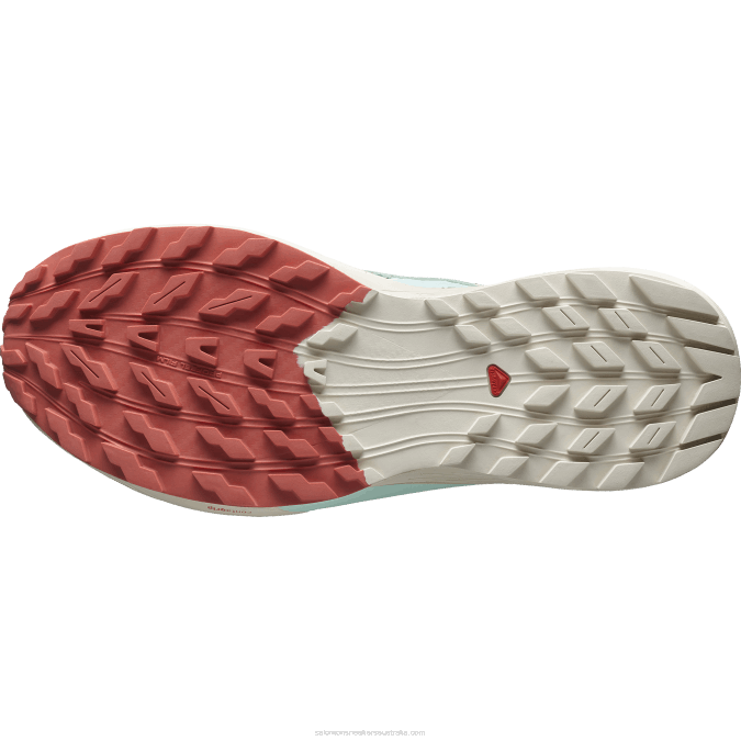 Men\'s Trail Running Shoes - Sense Ride 5 V42L1433 Salomon Lily Pad/Rainy Day/Bleached Aqua - Salomon sneakers Australia