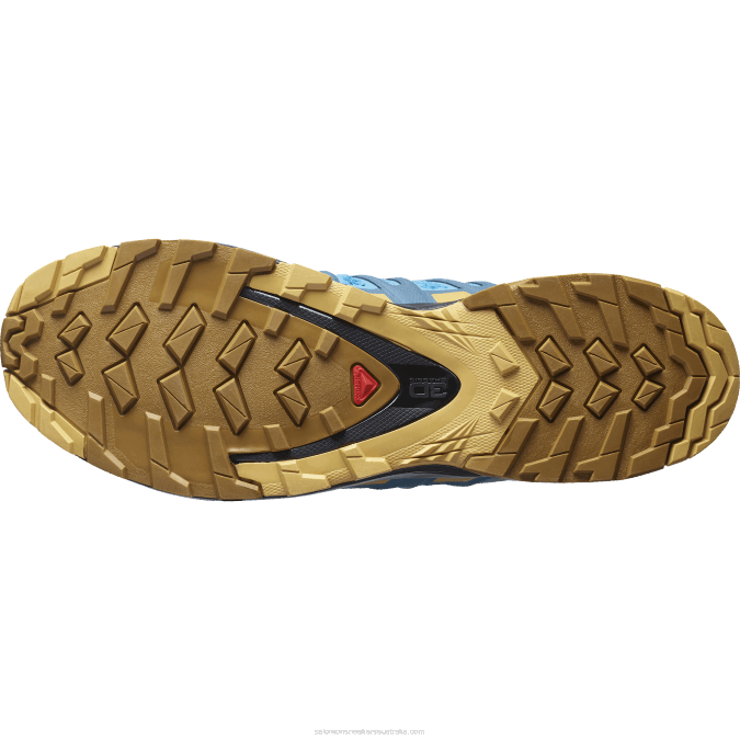 Men\'s Trail Running Shoes - Xa Pro 3D V8 V42L1480 Salomon Barrier Reef/Fall Leaf/Bronze Brown - Salomon shoes