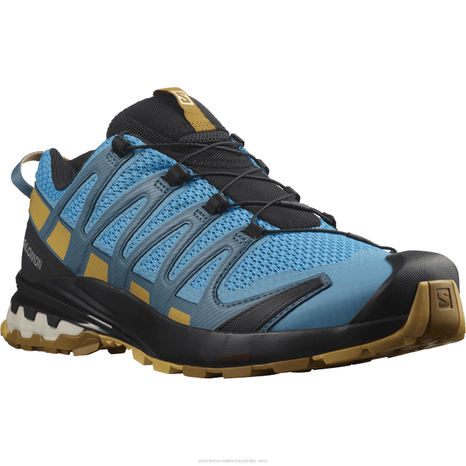 Men\'s Trail Running Shoes - Xa Pro 3D V8 V42L1480 Salomon Barrier Reef/Fall Leaf/Bronze Brown - Salomon shoes