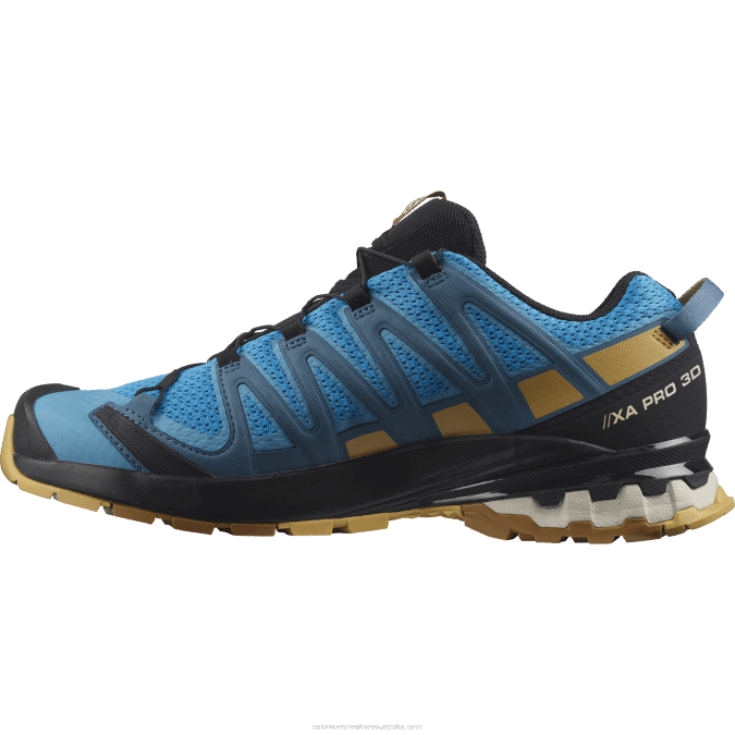 Men\'s Trail Running Shoes - Xa Pro 3D V8 V42L1480 Salomon Barrier Reef/Fall Leaf/Bronze Brown - Salomon shoes