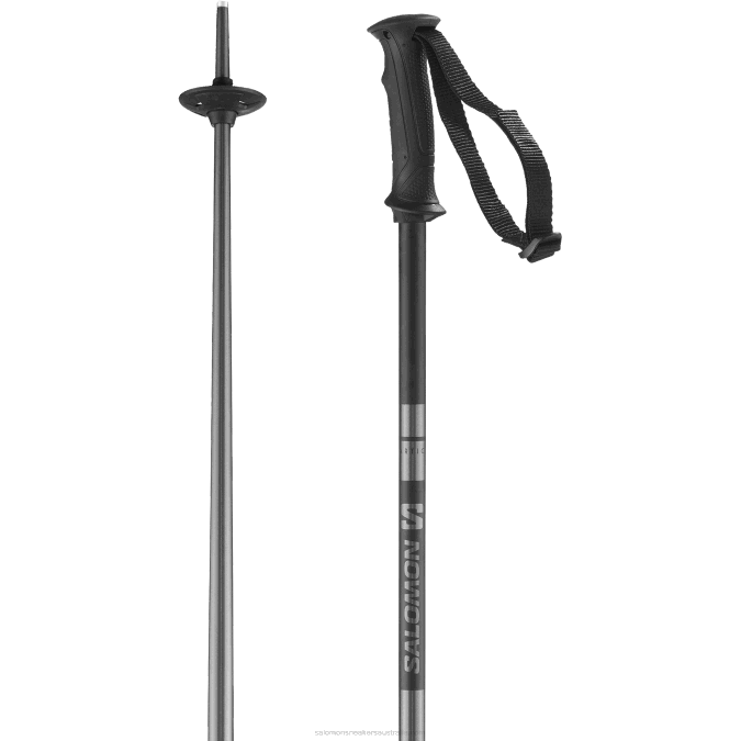 Men's Alpine Poles - Arctic V42L1257 Salomon Blue - Salomon shoes