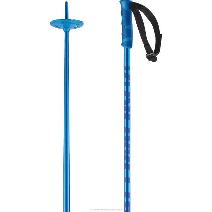 Men's Alpine Poles - Hacker V42L1254 Salomon Blue - Salomon shoes