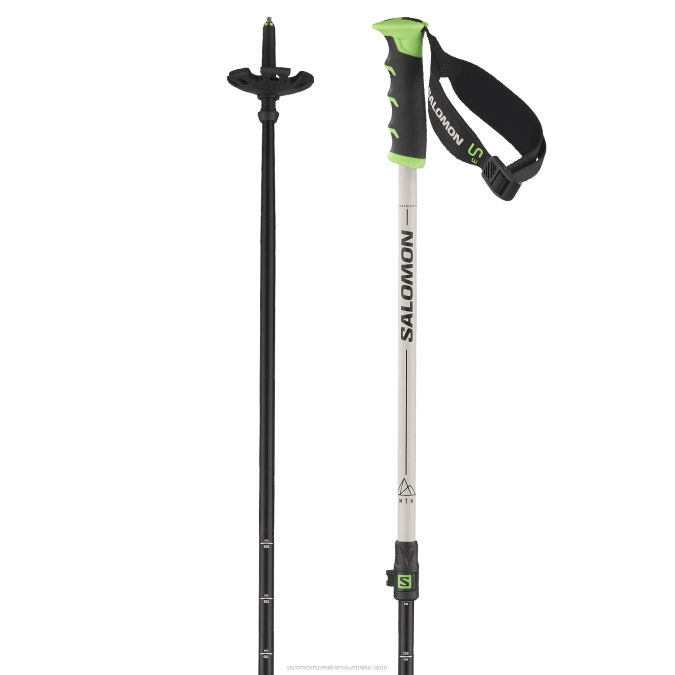 Men's Alpine Poles - Mtn Alu S3 V42L1247 Salomon Rainy Day/Green - Salomon sneakers Australia