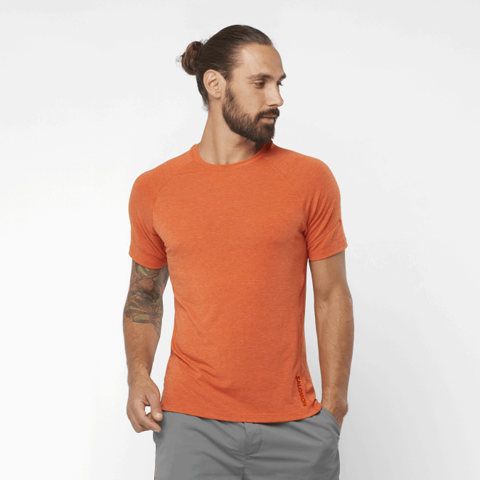 Men's Short Sleeve T-Shirt - Runlife V42L1199 Salomon Burnt Ochre/Heather - Salomon shoes