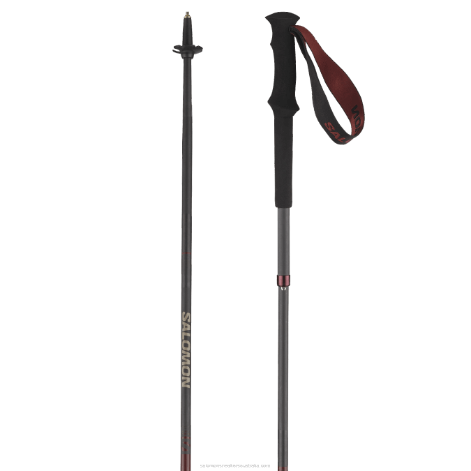 Women's 4 season Poles - Quest Carbon Foldable V42L994 Salomon Madder - Salomon sneakers Australia