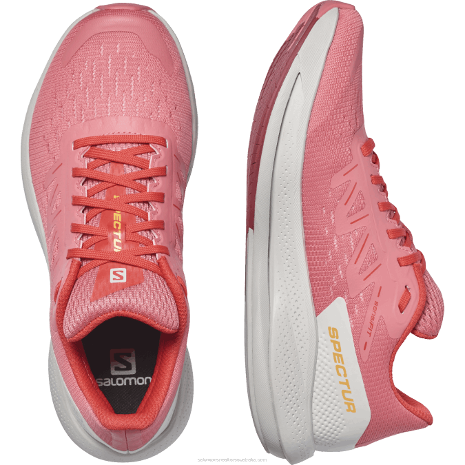 Women\'s Running Shoes - Spectur V42L746 Salomon Tea Rose/Lunar Rock/Poppy Red - Salomon shoes