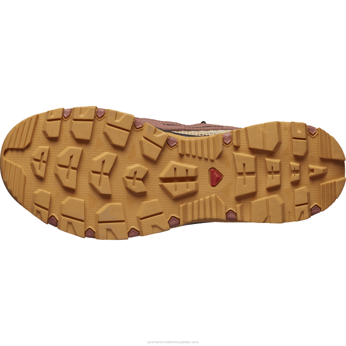 Women\'s Water Shoes - Techamphibian 5 V42L789 Salomon Cedar Wood/Buckskin/Rose Cloud - Salomon sneakers Australia