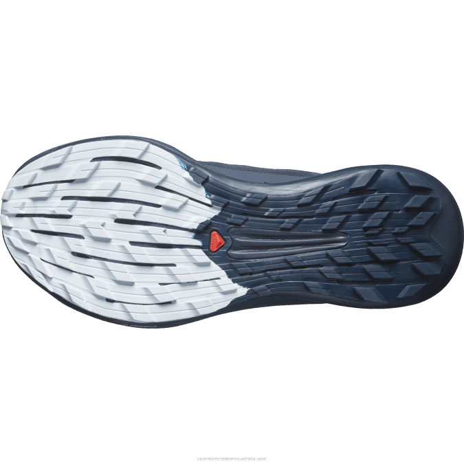 Women\'s Trail Running Shoes - Pulsar Trail Pro 2 V42L1493 Salomon Carbon/Orchid Bloom/Arctic Ice - Salomon shoes