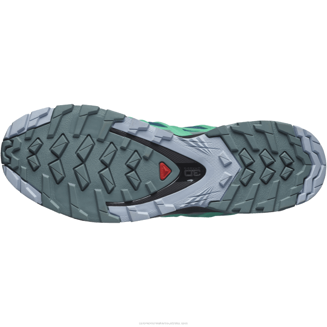 Women\'s Trail Running Shoes - Xa Pro 3D V8 Gore-Tex V42L1539 Salomon Legion Blue/Trooper/Mint Leaf - Salomon Australia