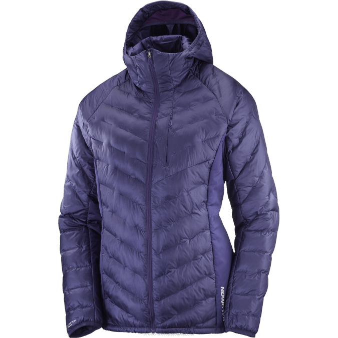 Women\'s Insulated Jacket Hoodie - Outline Primaloft V42L834 Salomon Astral Aura - Salomon Australia