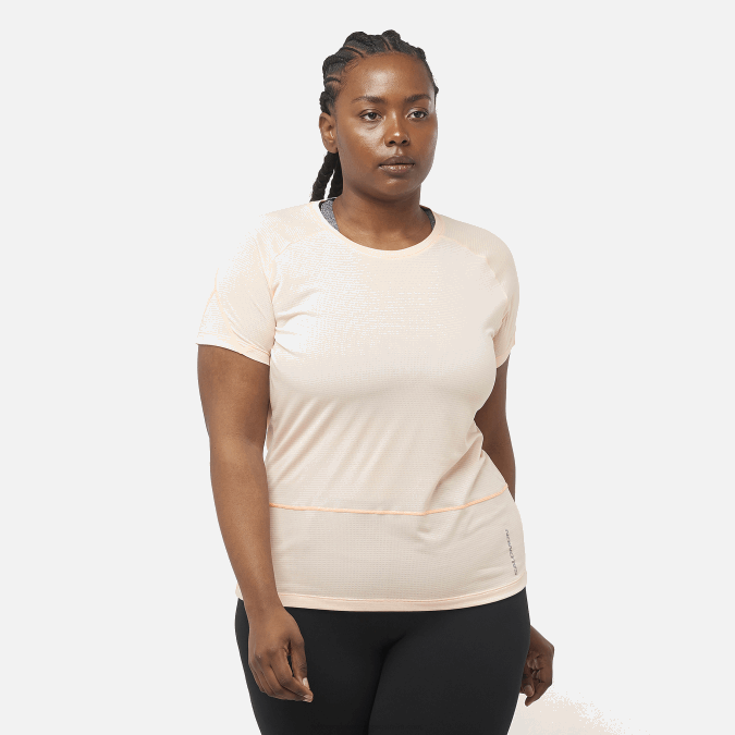 Women's Short Sleeve T-Shirt - Cross Run V42L878 Salomon Cream Tan/Heather - Salomon sneakers Australia