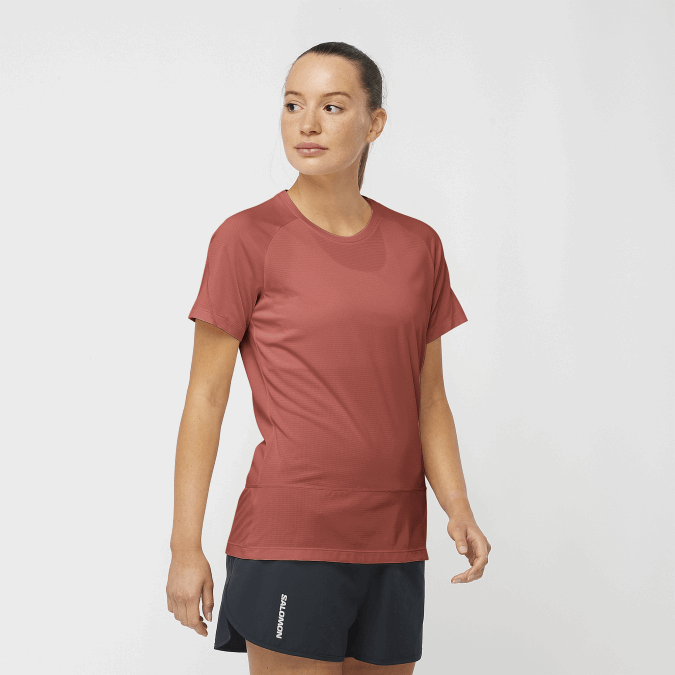 Women's Short Sleeve T-Shirt - Cross Run V42L881 Salomon Hot Sauce - Salomon sneakers Australia