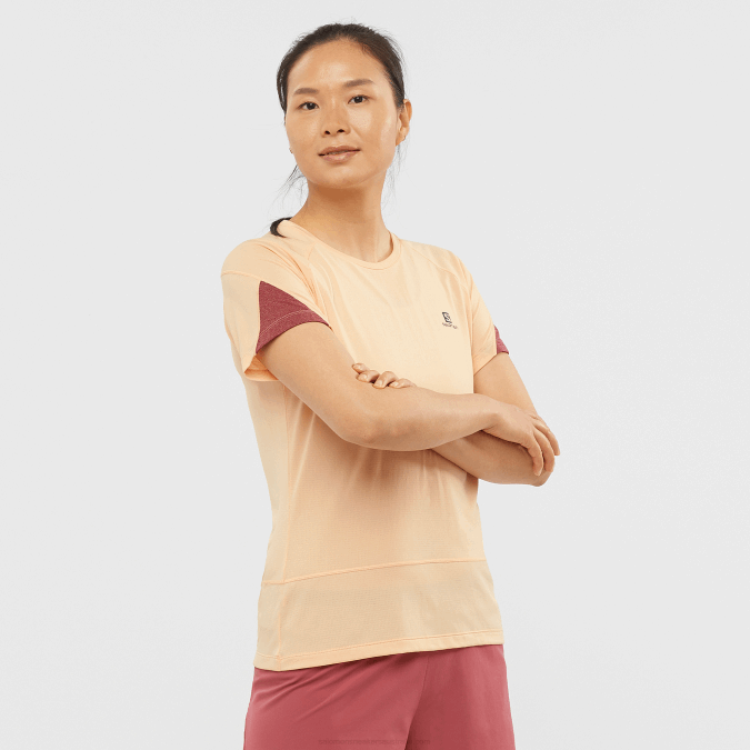 Women's Short Sleeve T-Shirt - Cross Run V42L891 Salomon Apricot Ice/Heather/Cabernet - Salomon shoes
