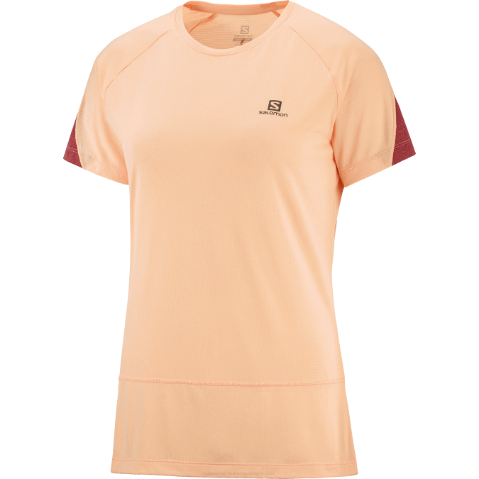 Women\'s Short Sleeve T-Shirt - Cross Run V42L891 Salomon Apricot Ice/Heather/Cabernet - Salomon shoes